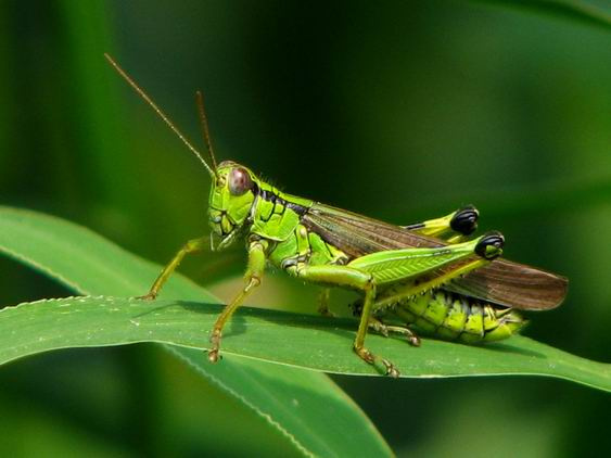 post-405-6553233021374